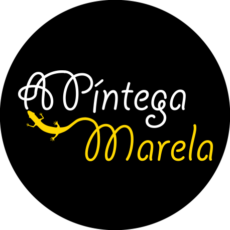 Foto de capa Escola Galega de Música A Píntega Marela
