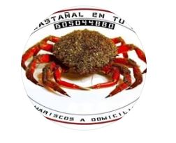 Foto de capa O Castañal