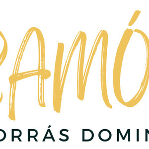 Thumbnail Ramón Borrás | Local SEO & Ecommerce Consultant Madrid