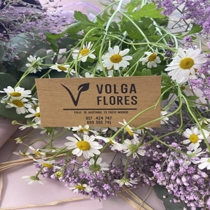 Foto de portada Volga Flores