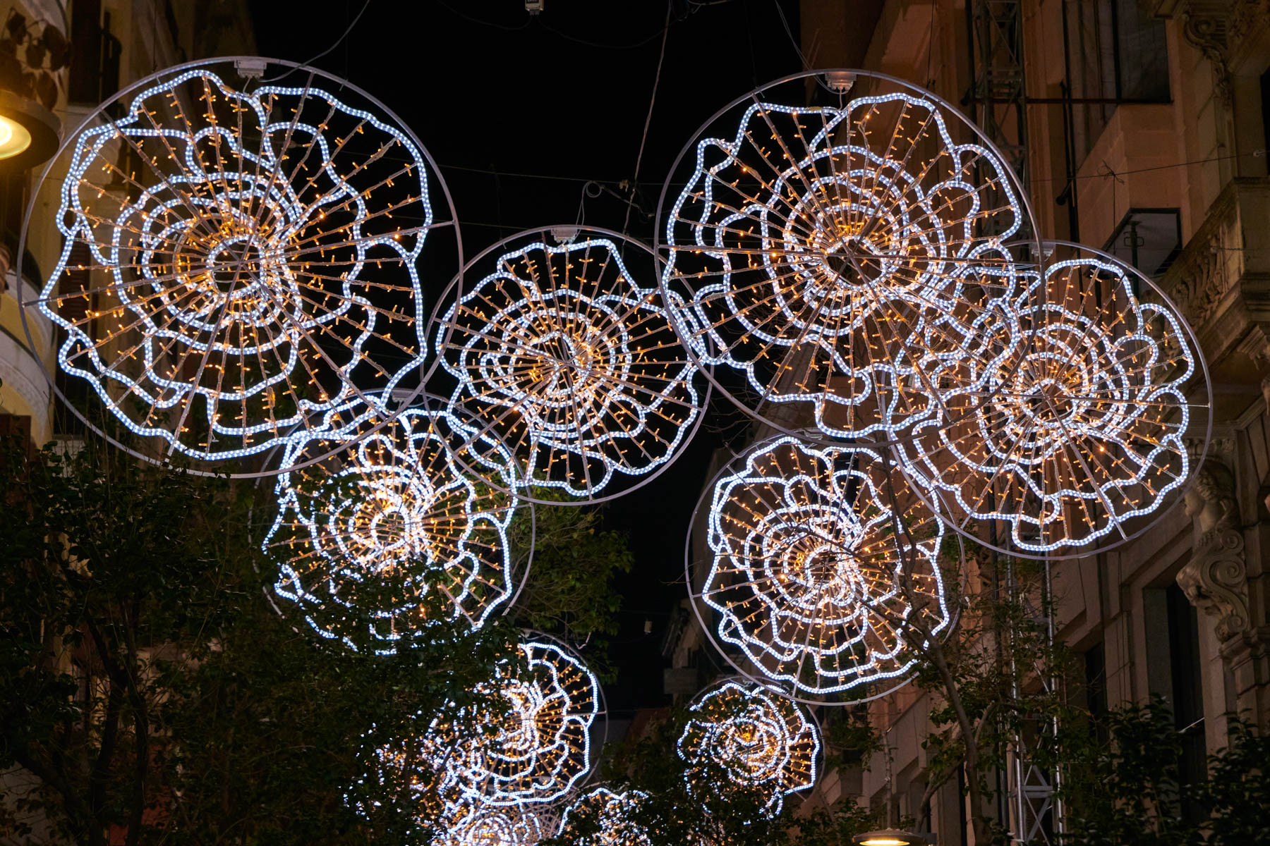 Foto de capa Luzes de Natal Juana Martín