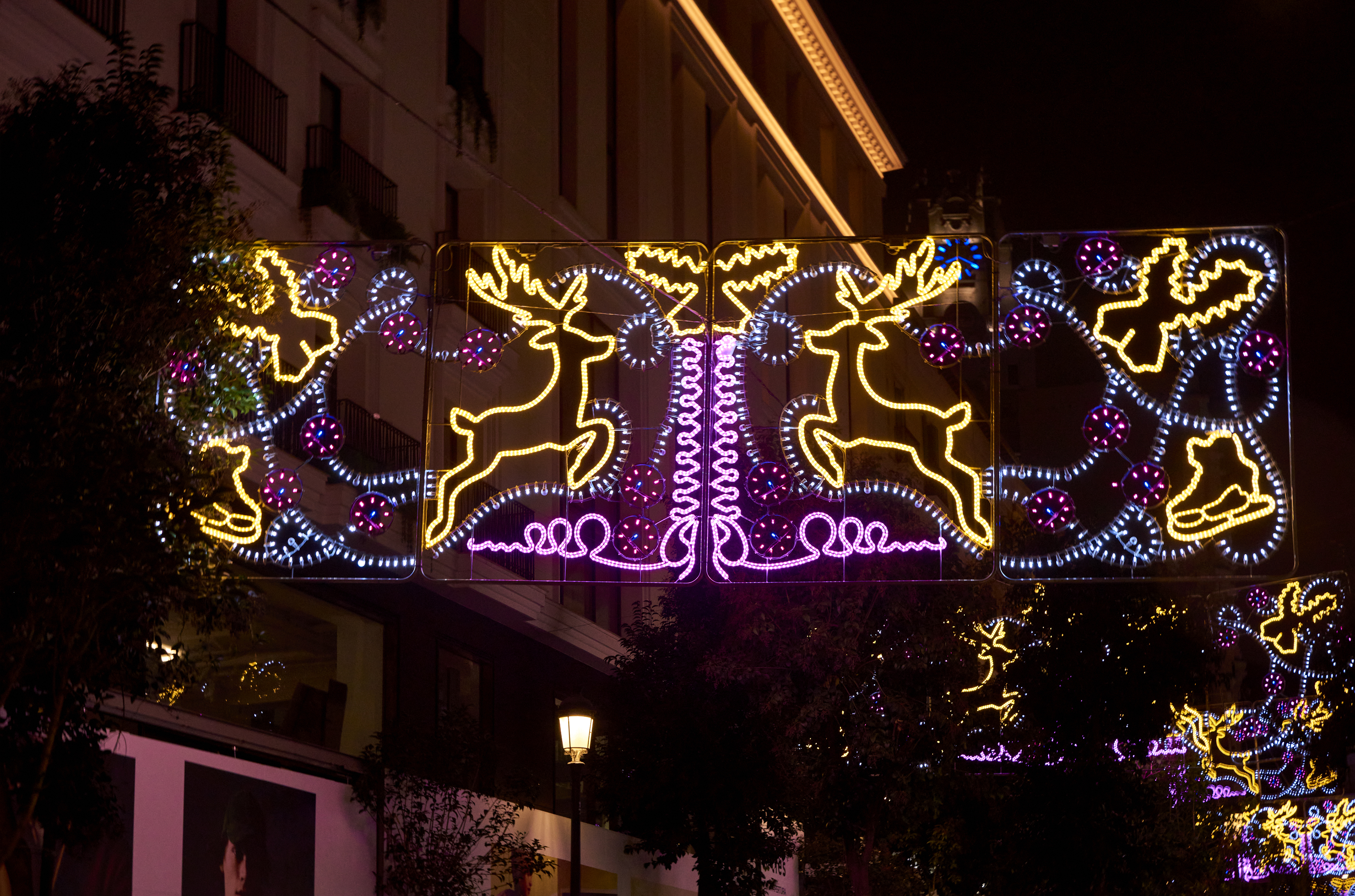 Foto de portada Luces Navidad Maya Hansen