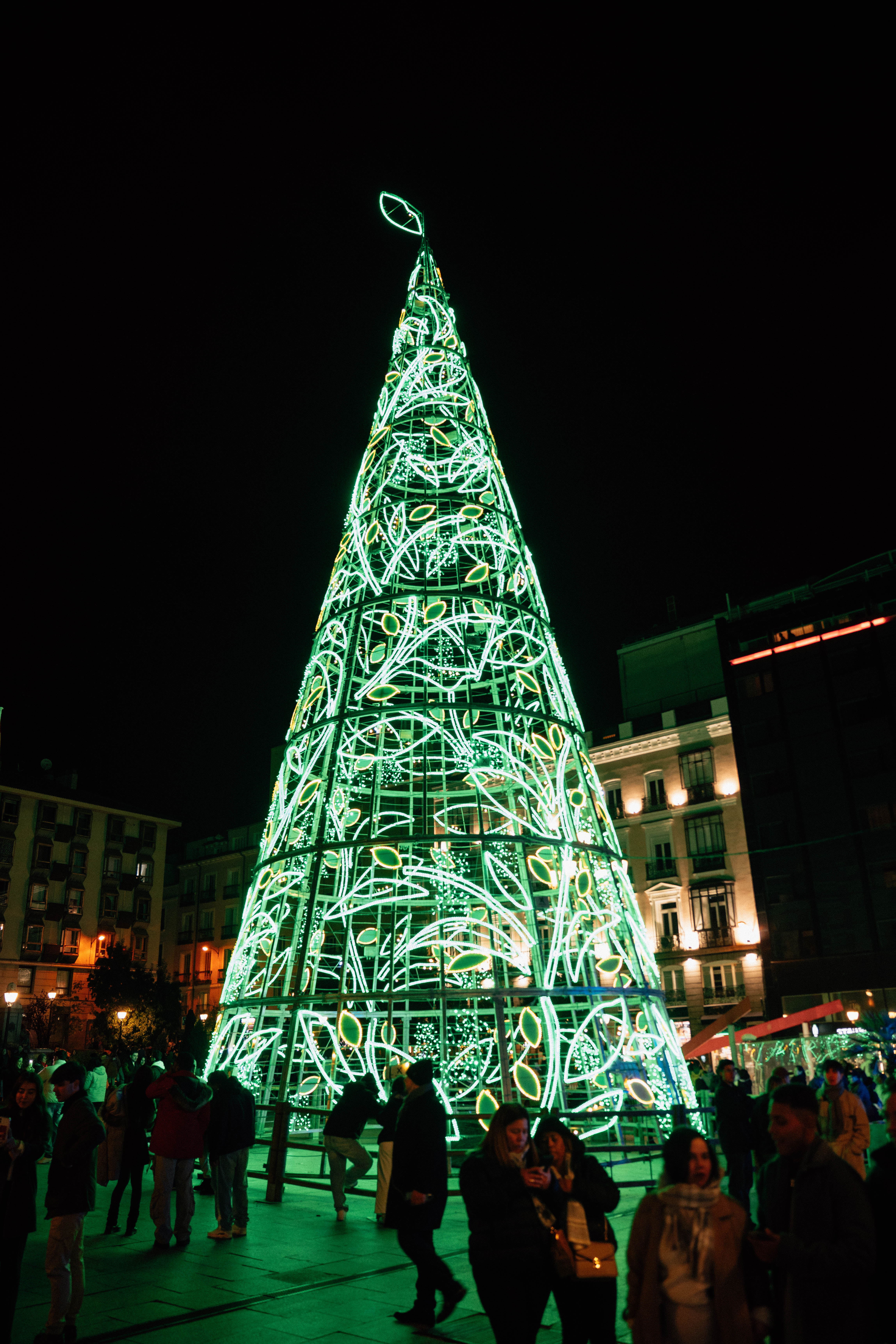 封面照片 圣诞灯海伦娜·罗纳