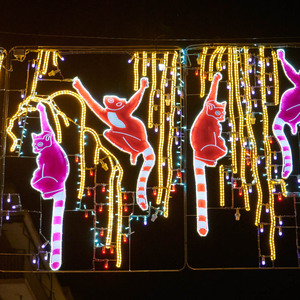 Foto di copertina Luci di Natale Teresa Helbig