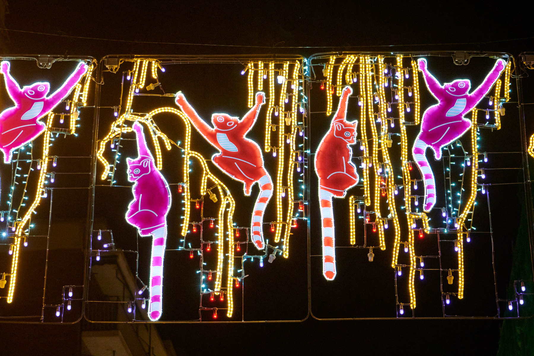 Photo de couverture Lumières de Noël Teresa Helbig