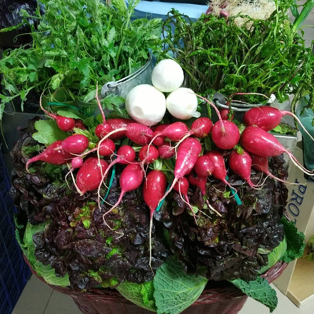 Photo de couverture Gomez marchand de légumes