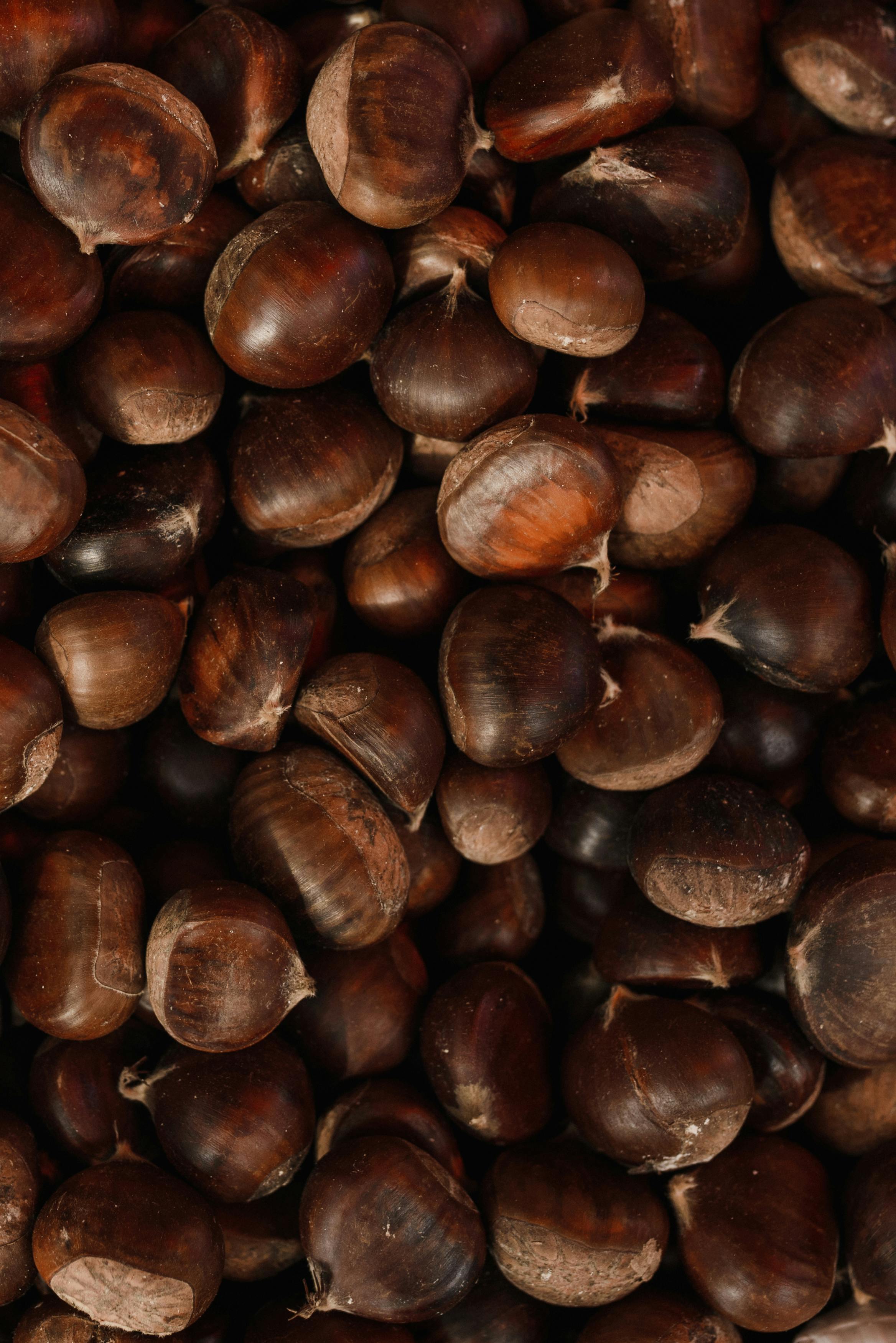 Foto di copertina Stalla di castagne Princess Street