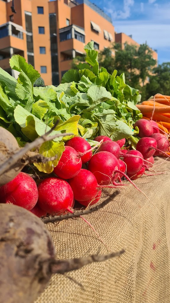 Thumbnail Alcobendas Producers Market