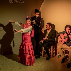 Titelbild Flamenco-Kulturzentrum von Madrid