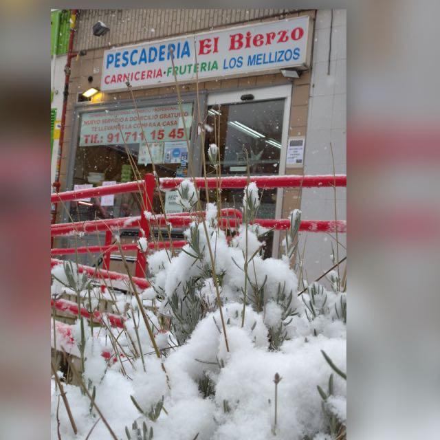 Foto de portada Pescadería El Bierzo