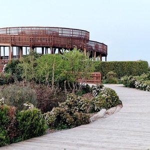 Foto de capa Parque Florestal de Valdebebas - Felipe IV