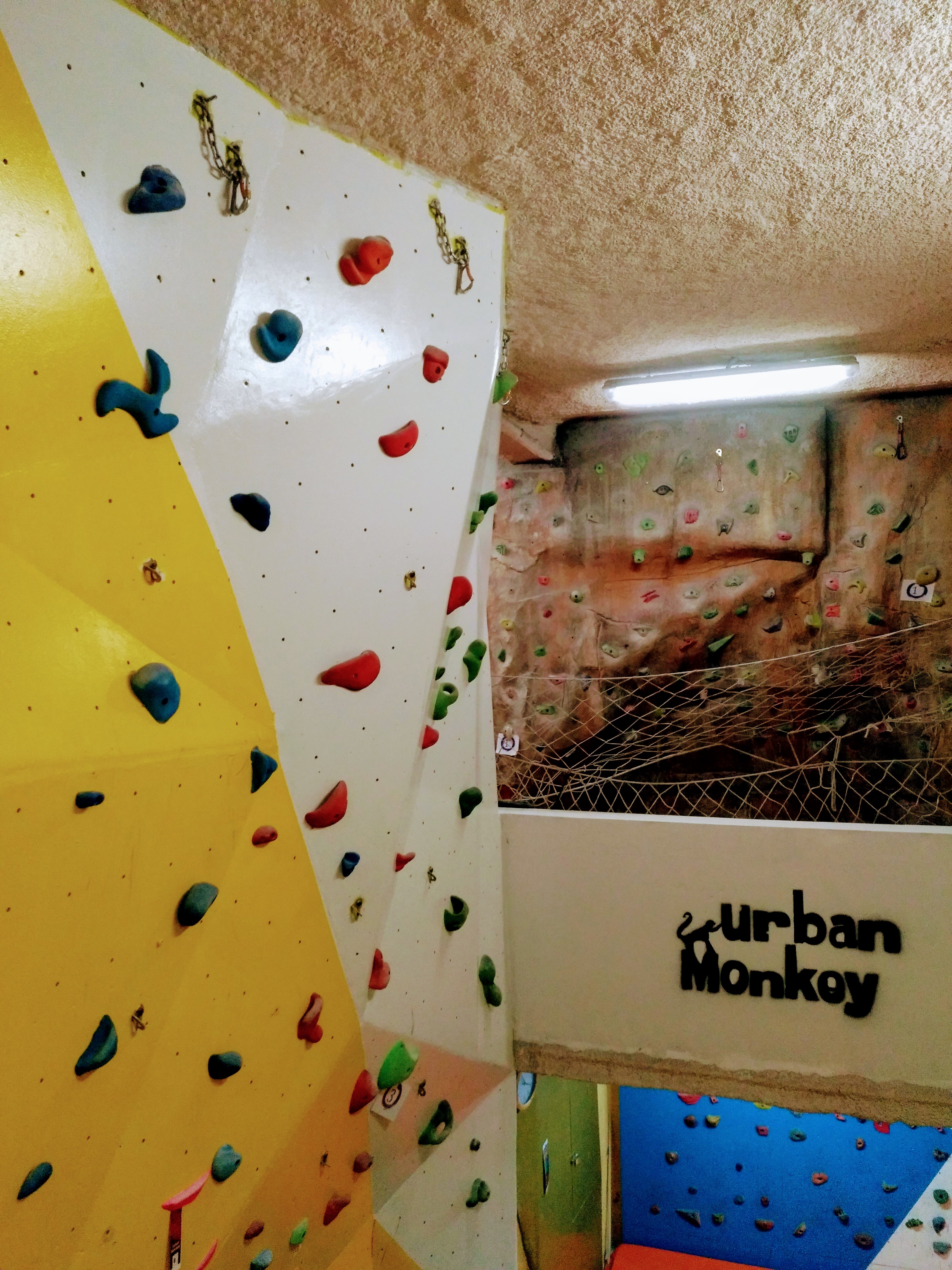 Foto de portada Urban Monkey