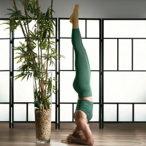 Thumbnail Yoga in Valdemarín