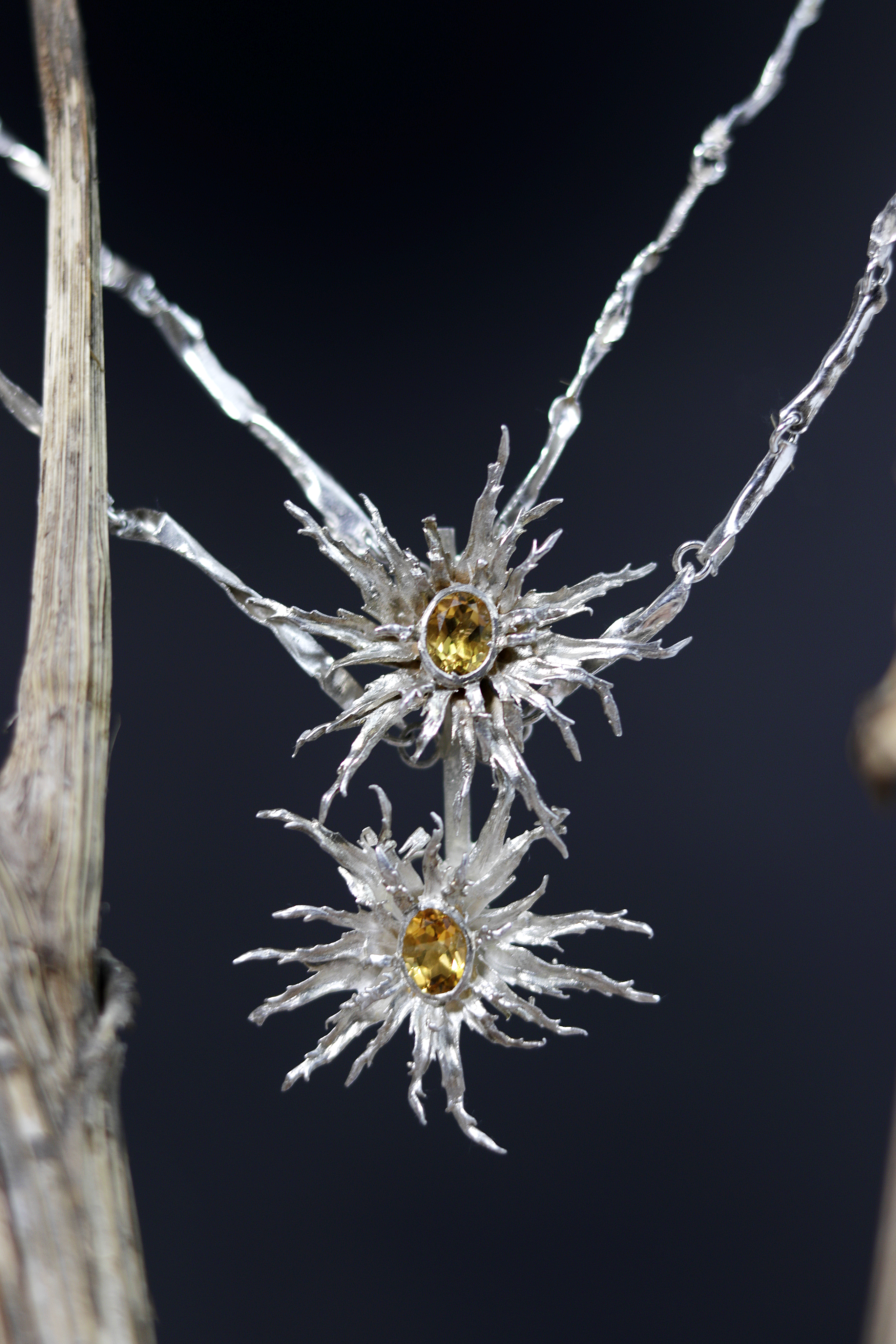 Foto de portada Siia