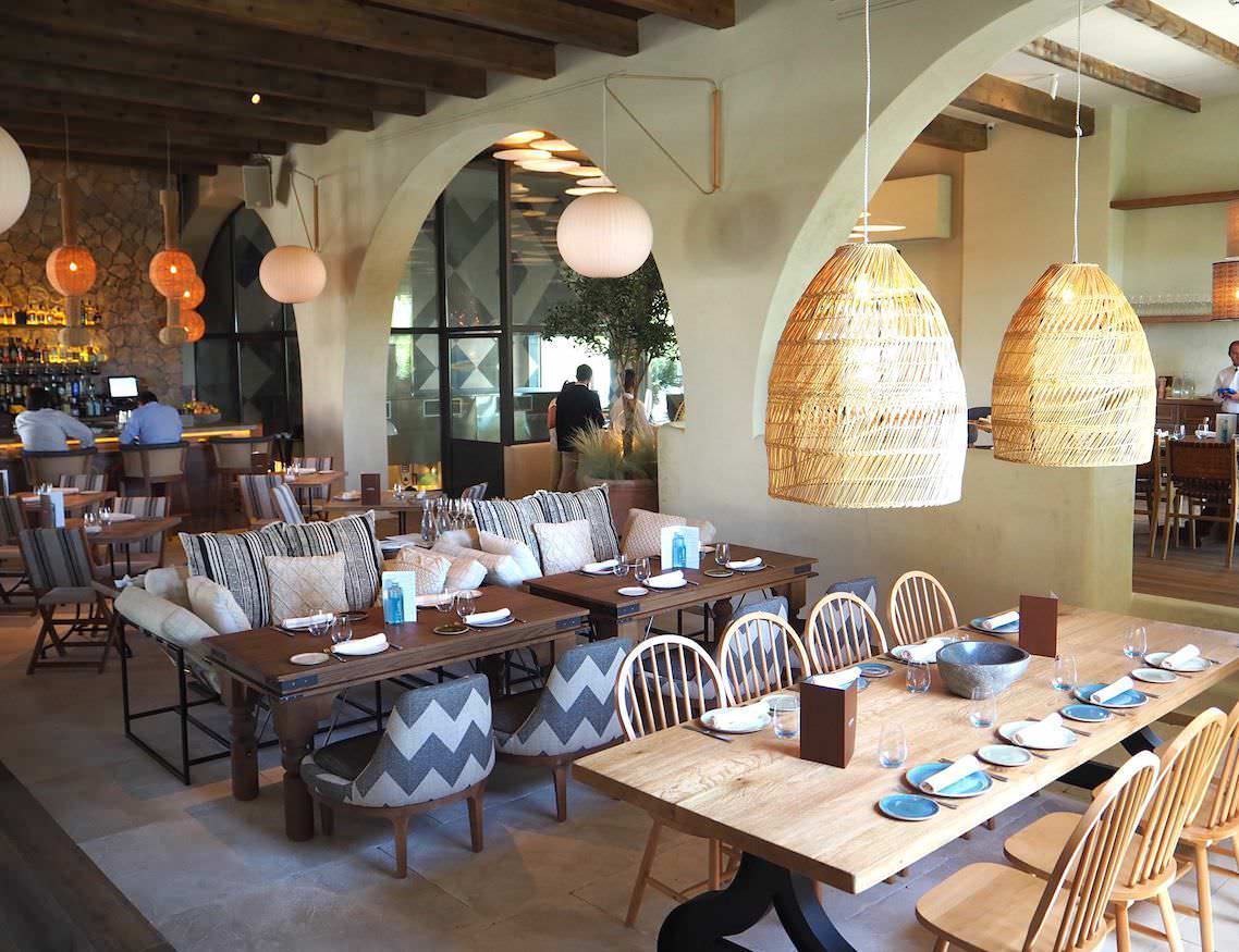 Foto de capa La Savana