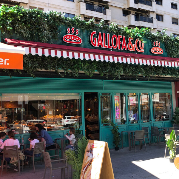 Foto de portada Gallofa & Co (Julio Palacios)