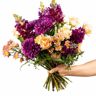 Foto de portada Flores de Cavia