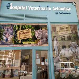 Hospital Veterinario ARtemisa