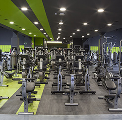 Titelbild Dreamfit Aluche