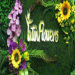 Foto de portada Latín Flowers