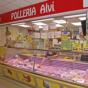 Foto di copertina Pollaio Al.vi.