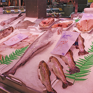 Photo de couverture Marché aux poissons d'Almansa