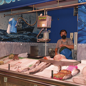 Photo de couverture Alonso Poissonnier