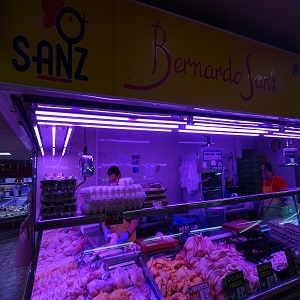 Photo de couverture Bernardo Sanz