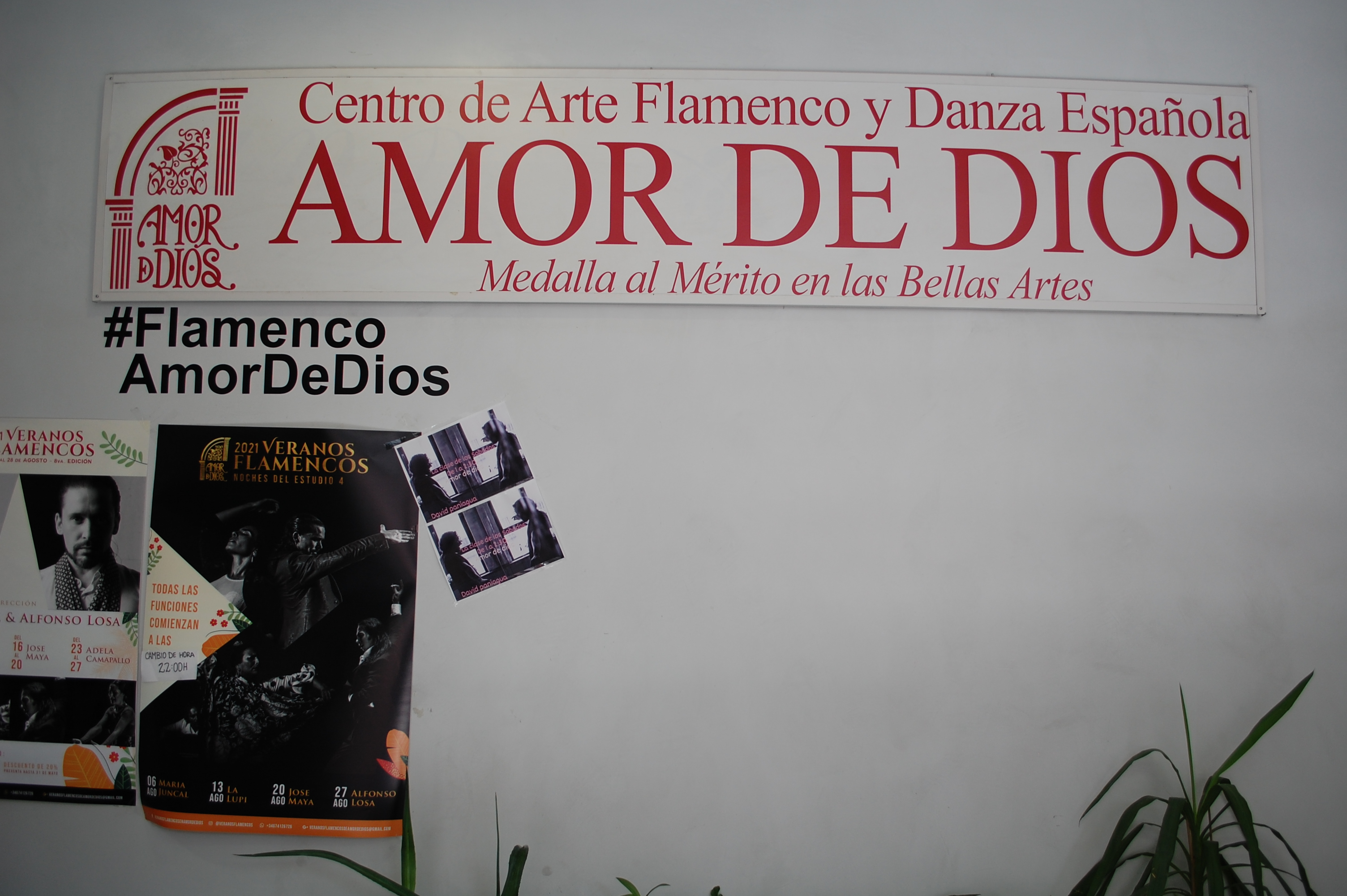 Foto de capa Centro de Arte Flamenca e Dança Espanhola Amor De Dios