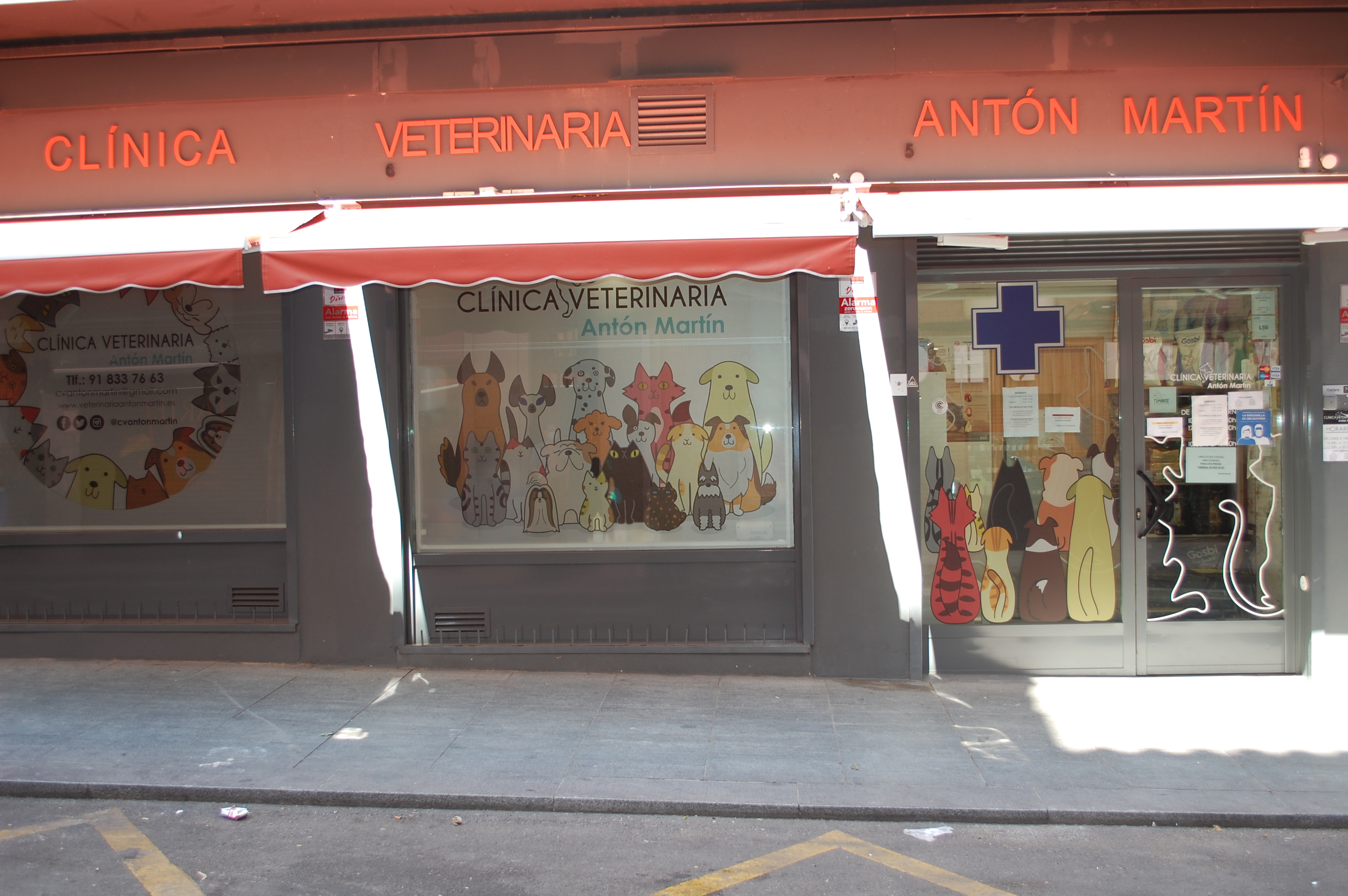 Photo de couverture Clinique Vétérinaire Antón Martín