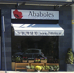 Photo de couverture Ababoles