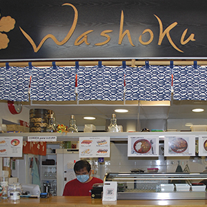 Washoka Sushi