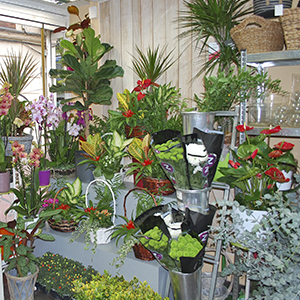 Titelbild Yamil Floristas S. L.
