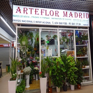 Foto di copertina Arteflor Madrid