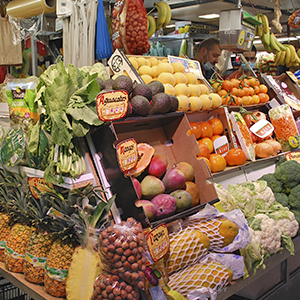 Titelbild Frutas Cibea