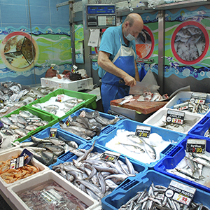 Foto di copertina Mercato del pesce di Algamar