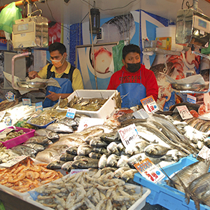 Titelbild Paquito JR Fischhändler