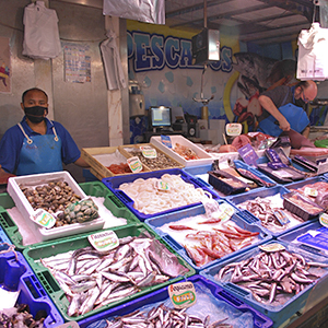 Thumbnail Fish and Seafood El Mar