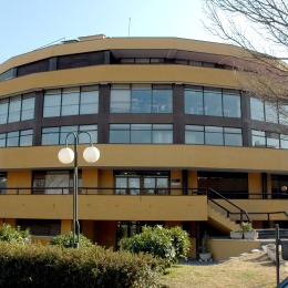 Foto di copertina Biblioteca comunale di San Blas