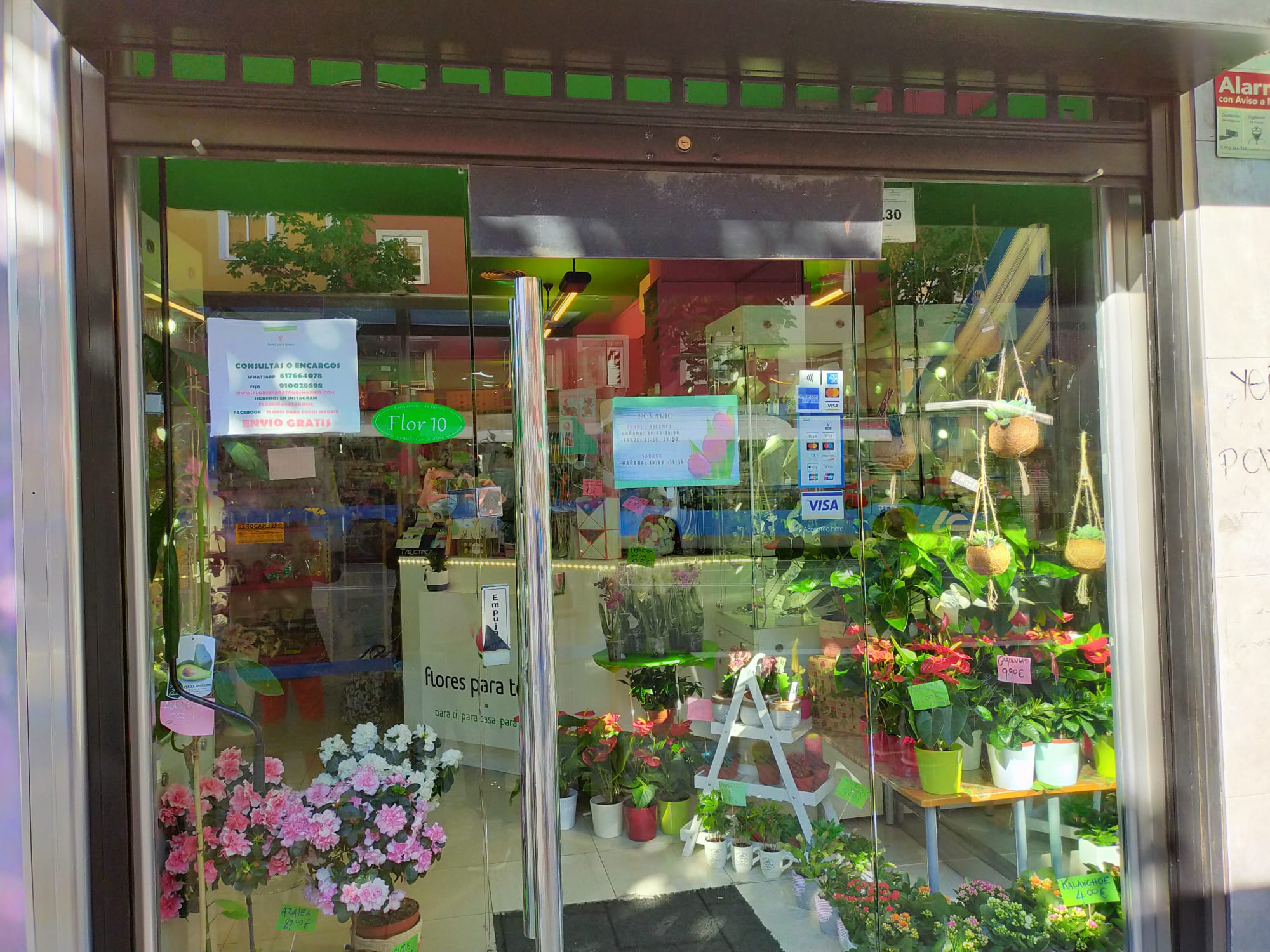 Foto de capa FLORES PARA TODOS