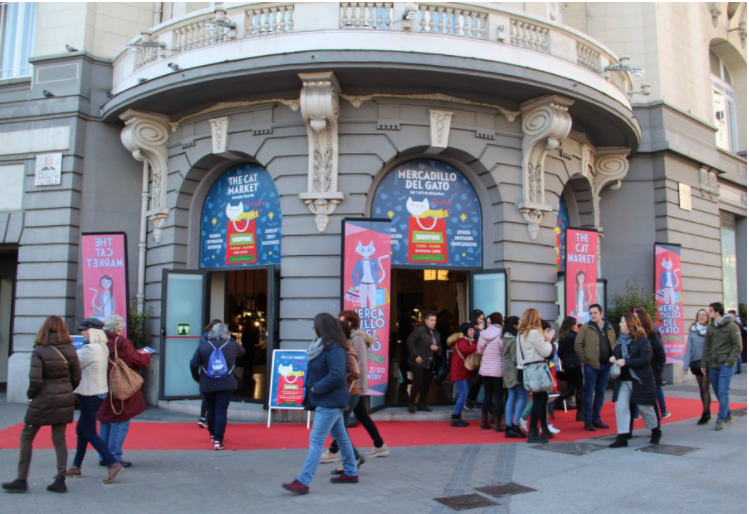 Foto di copertina Mercato dei gatti - The Westin Palace Hotel