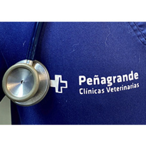 Foto de portada Clínica Veterinaria Pets - Grupo Peñagrande