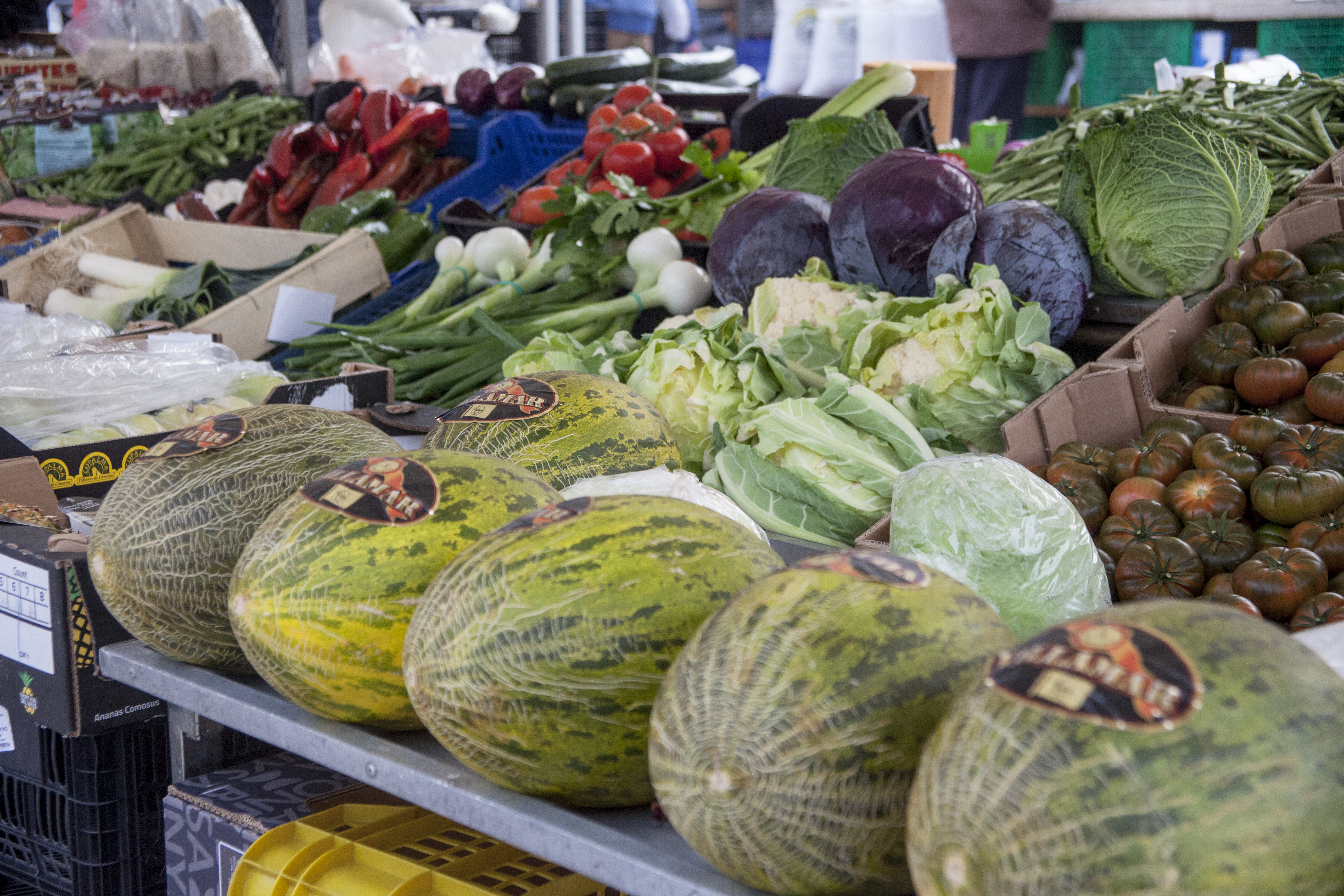 Titelbild Camino de las Cruces Marktstände 26 und 27: Obst und Gemüse