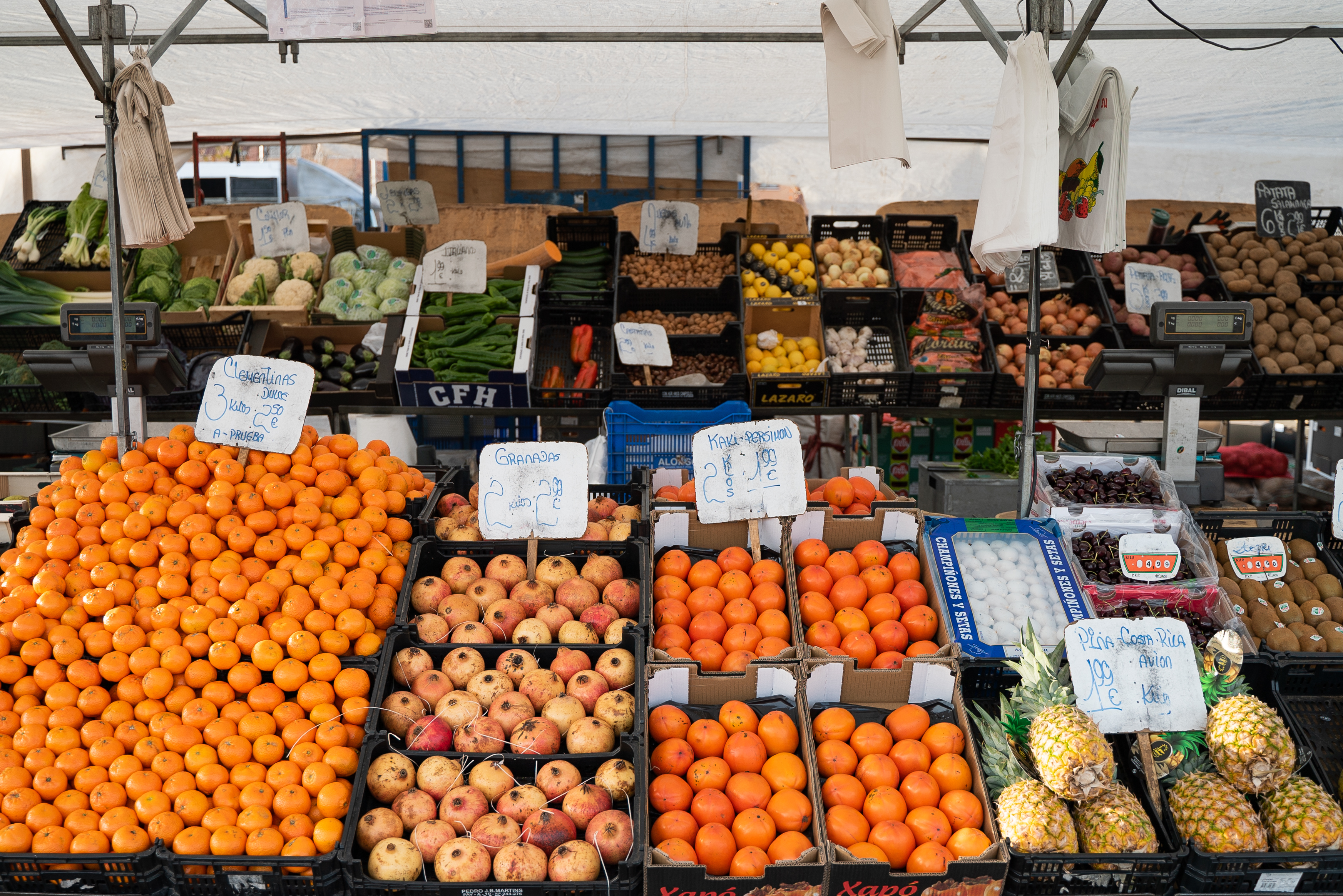 Photo de couverture Marché de Vicálvaro, Poste 113 : Magasin de fruits