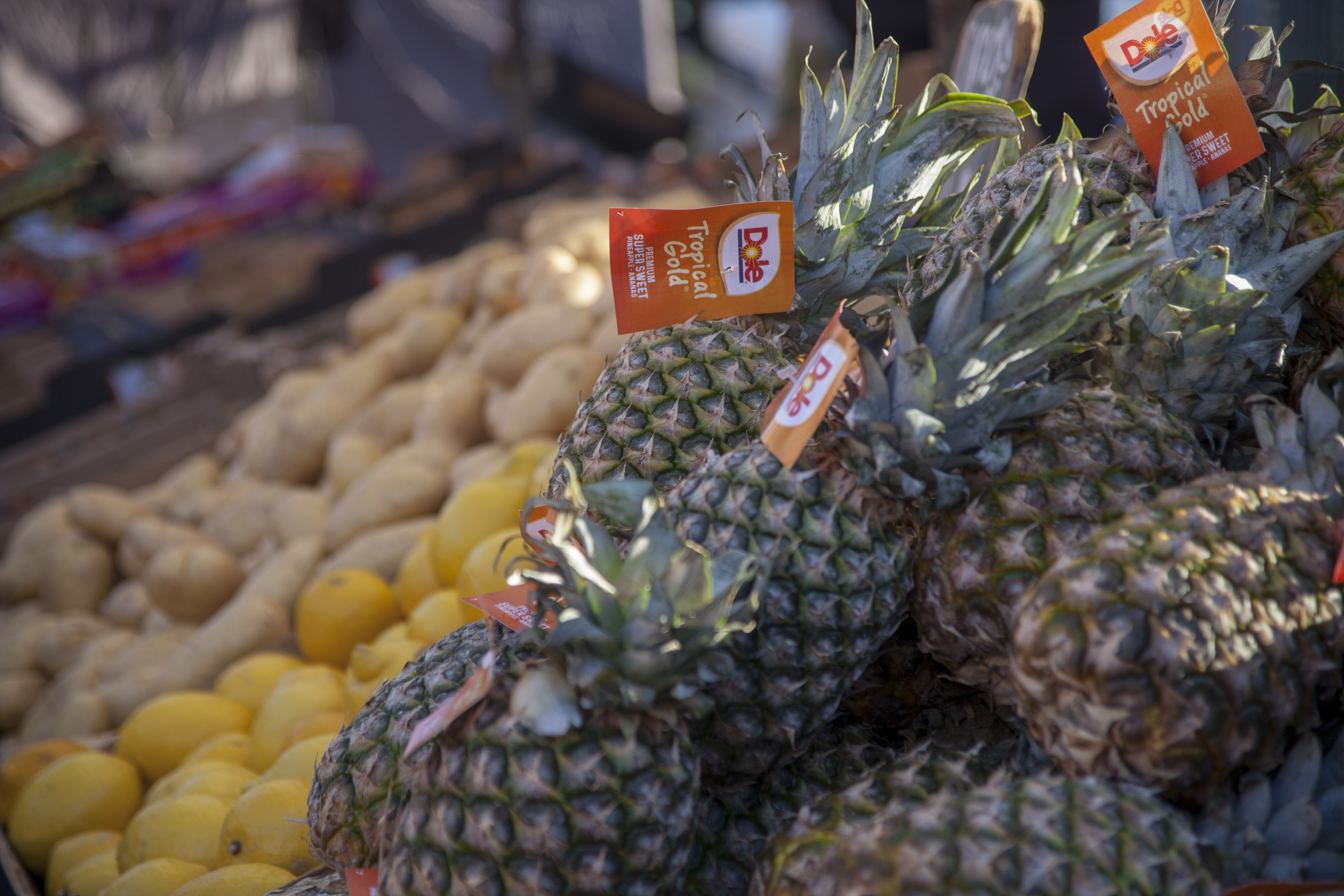 Photo de couverture Marché de Fontarrón, Poste 64 : Fruits et Légumes