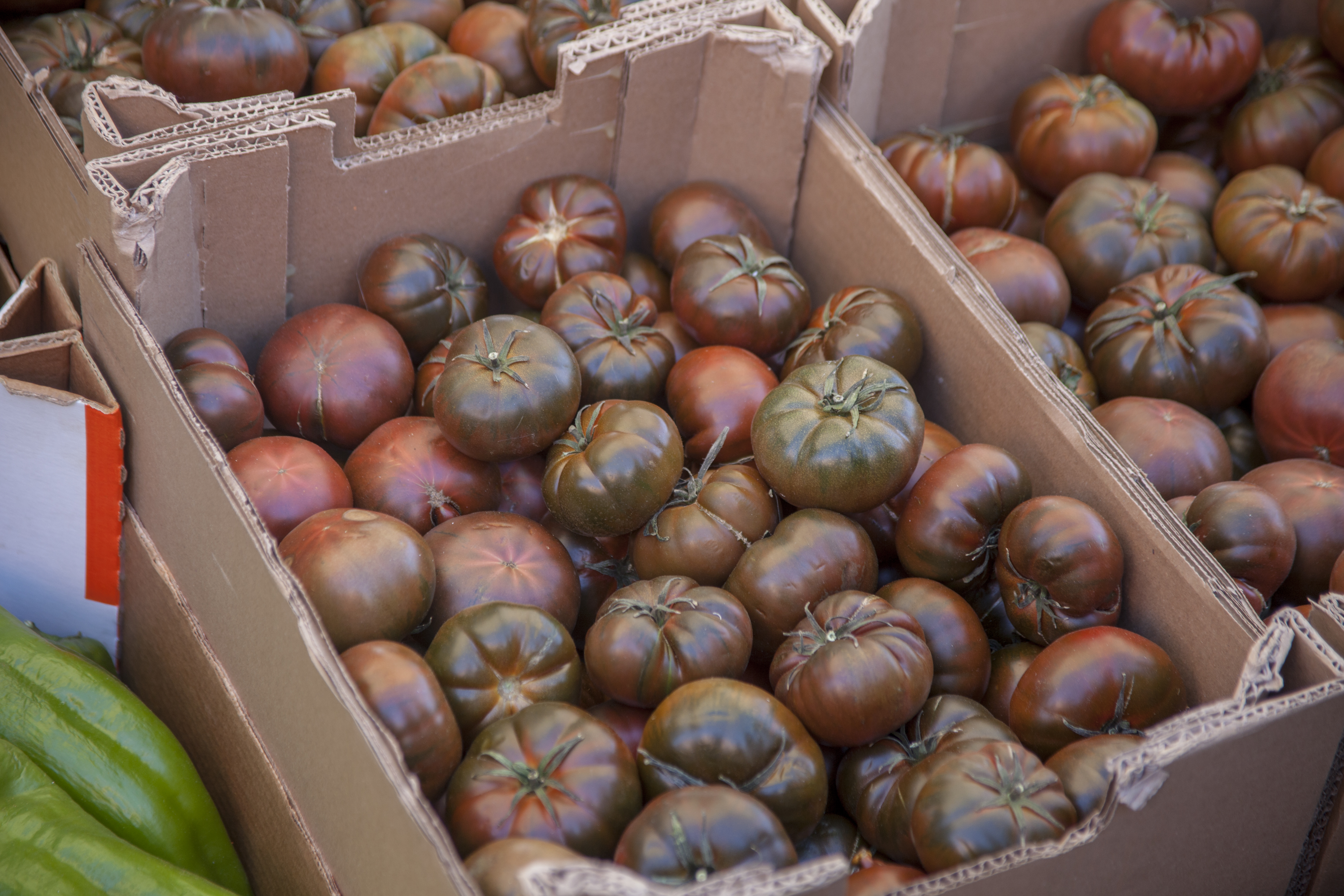 Photo de couverture Marché de Fontarrón, Poste 65 : Fruits et Légumes