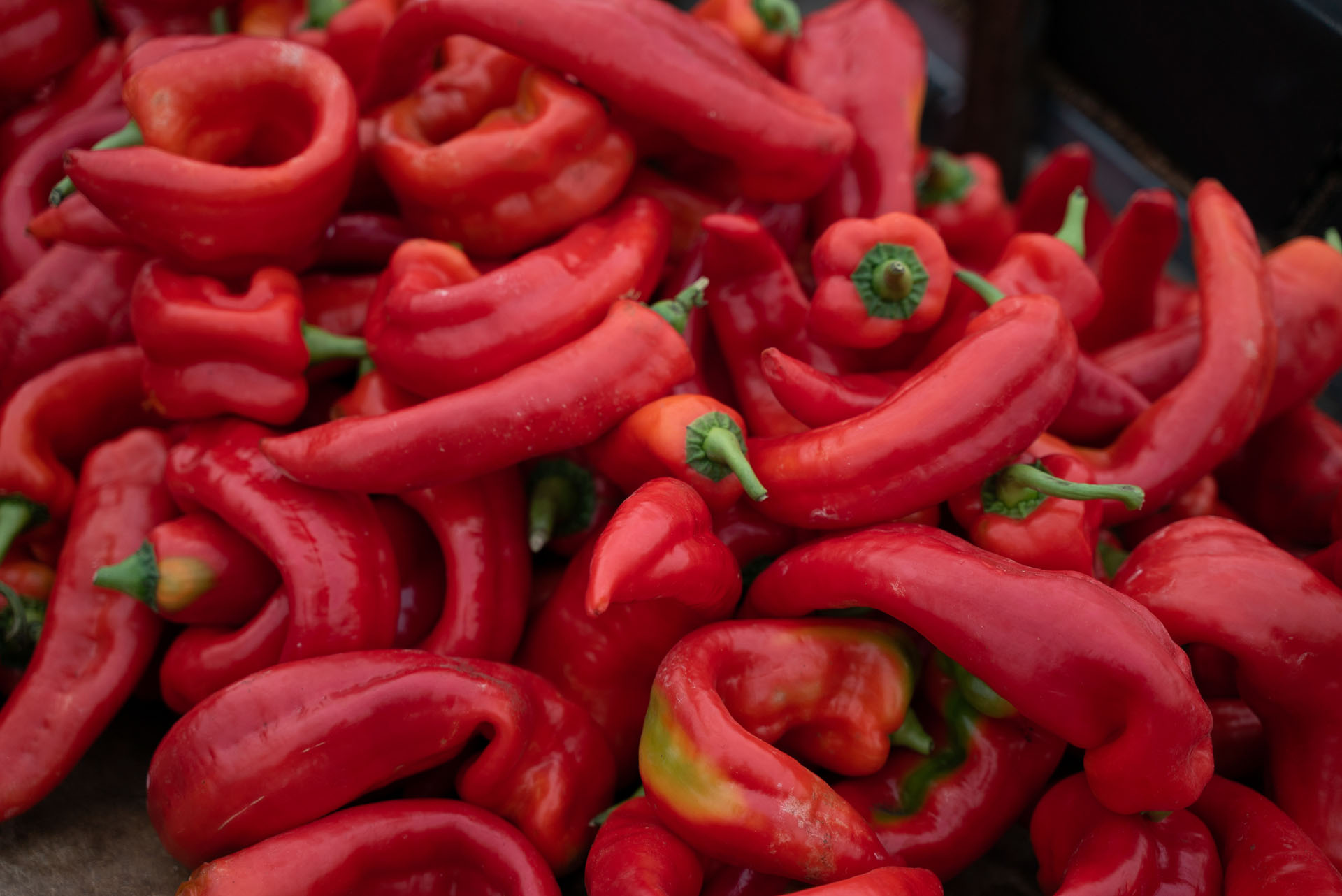 Foto de portada Mercadillo Villa de Vallecas, Puesto 31F: Frutería