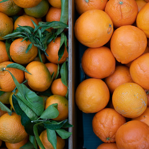 Foto de capa Ronda del Sur Posição de mercado 208: Loja de frutas