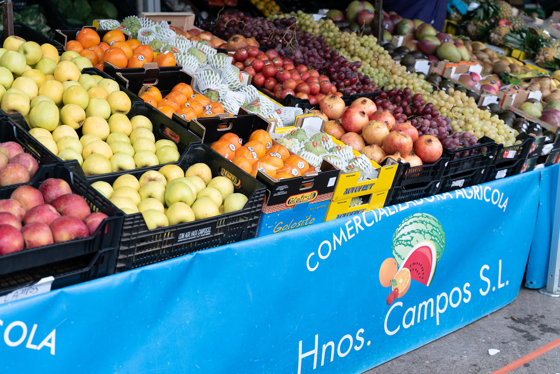 Foto de portada Mercadillo Ronda del Sur puesto 209: Frutería Hermanos Campos