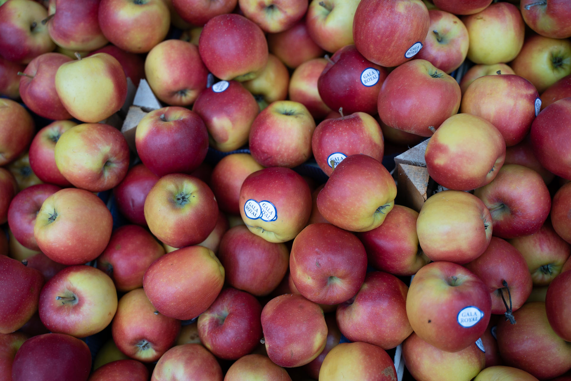 Titelbild Ronda del Sur Market post 214: Obstladen